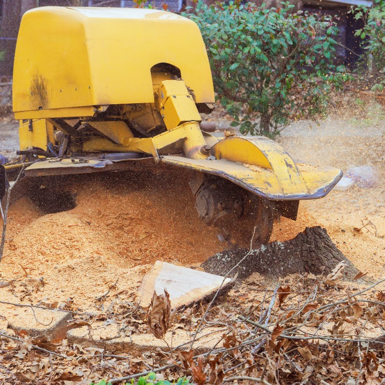 Just another WordPress site